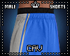 Blue Basketball Shorts