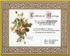 Our Marraige Certificate