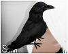 S: Crow