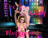 TheKittyPlayground