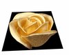 tapis rose doree