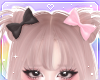 🌙 Twin Bows BlkPink