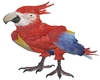 Parrot (Amimation)