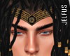 ♛Gold-Black Crown