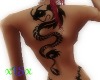 xLSx Dragone Tattoo