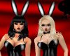 Playboy Bunnies Picture