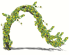 Yellow Flower Arch