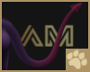 ~AM~ Epshi Tail v4