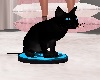 BLACK VACUM CAT ANIMATE