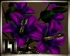 !LL! Purple Hibiscus Vas