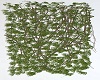 Plant Wall - Hanging