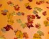T- Autumn Leaves