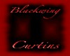 Blackwing Curtin