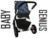 Sports Carseat/Stroller