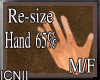 Re-Size-Hand 65%