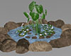 Rock Pond