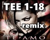 Te Amo REMIX