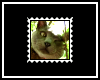 Paw Paw Stamp