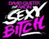 D.GUETTA-SEXY B***H