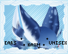 ꨄYuki Earsꨄ
