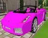 Pink Steel * Tiger Car