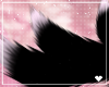兎. Tennin | Tails