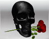Skull Rose W