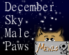 December Sky Male Paws
