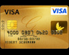 Visa Credit Card (Fake)