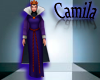 : Evil Queen Costume 