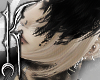 ╋━ BLONDE+