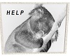 help koala
