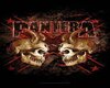 Pantera