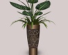 Bronze Pot Plant V1