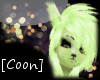 [Coon]Lym Cream Tail
