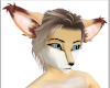Fox Dragon Ears (M)