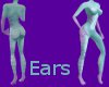 :3 Evah Ears