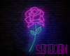 lSxl Neon Rose