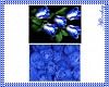(DA)Blooms In Blue 3