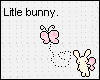 Tiny bunny