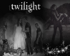 Twilight Club