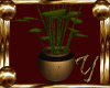 [Y] Vase Private