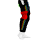 Pride Pants