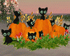 Halloween Cat & Pumpkin