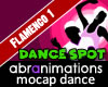 Flamenco Dance 1 Spot
