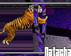 DATURA tiger show
