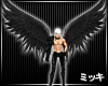 ! Nightshade Wings II