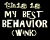 best behavior