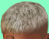 Shag Blonde Hair