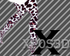 {XP} Leopard XtraBM Boot